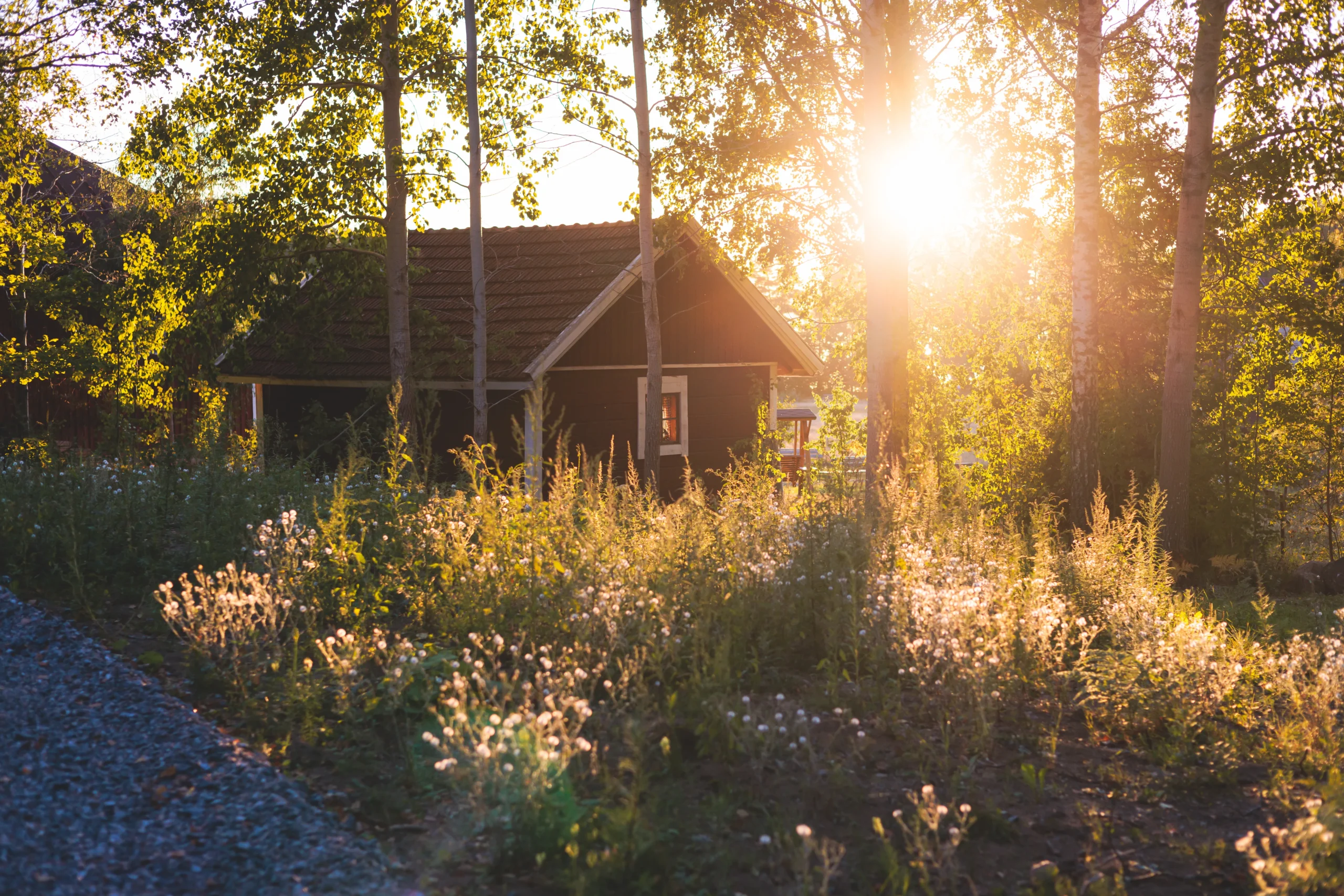 AdobeStock_561996322